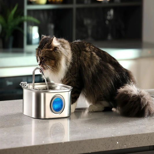 Fontaine à eau inox chat dans une cuisine