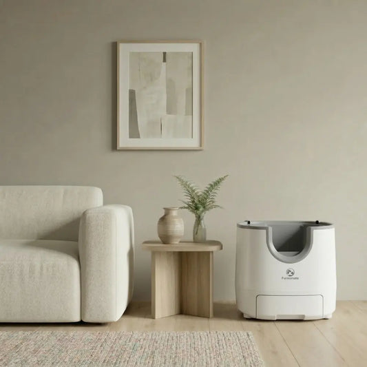 Litière automatique pour chat dans un salon