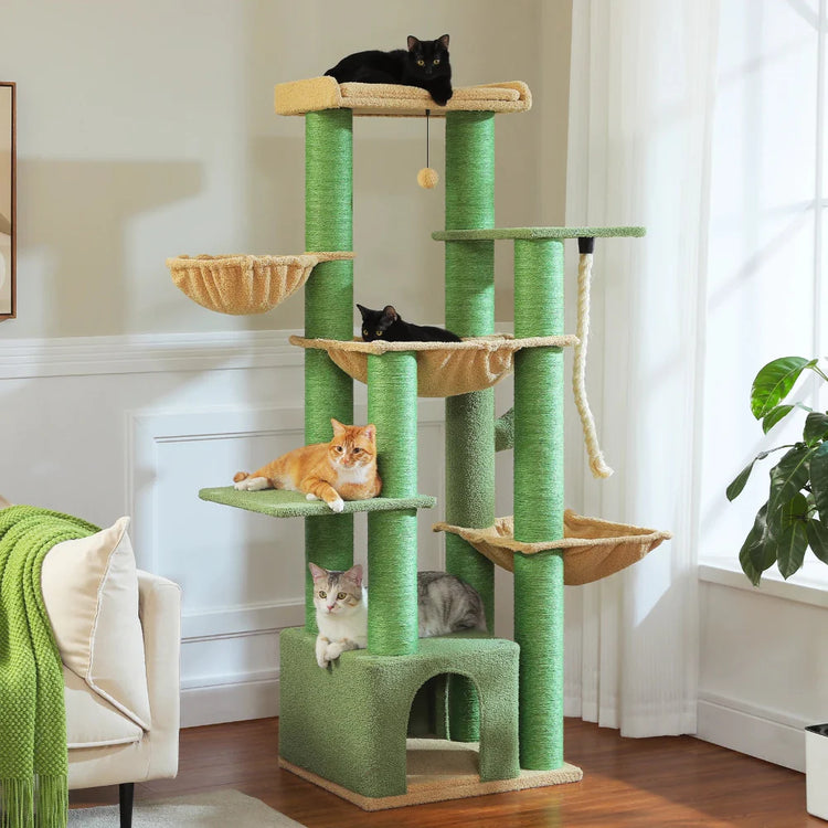 Arbre à Chat