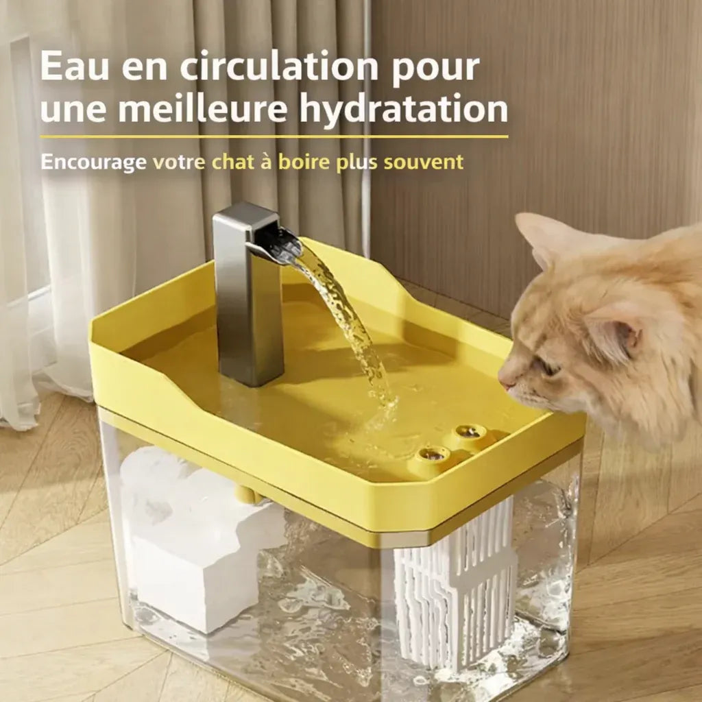 Fontaine à Eau Chat transparente
