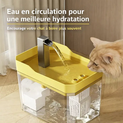 Fontaine à Eau Chat transparente