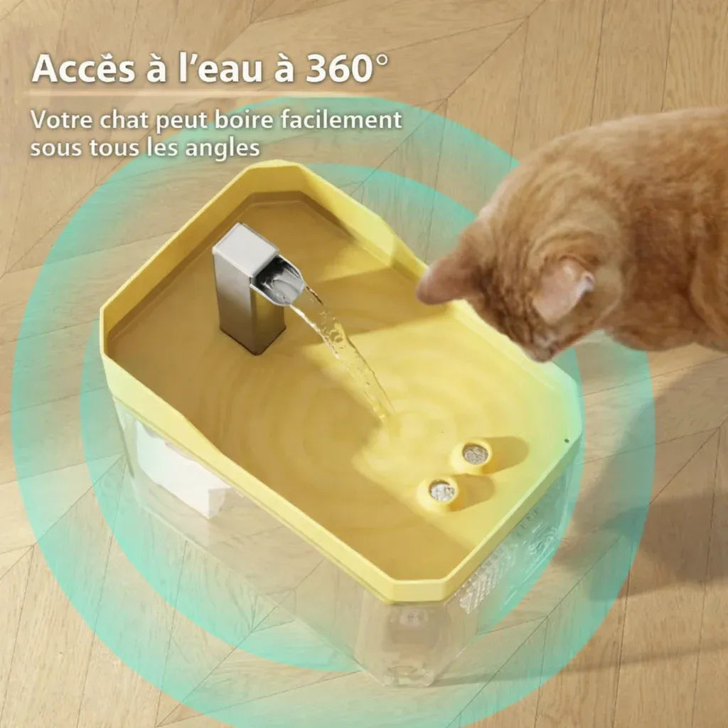 Fontaine à Eau Chat transparente
