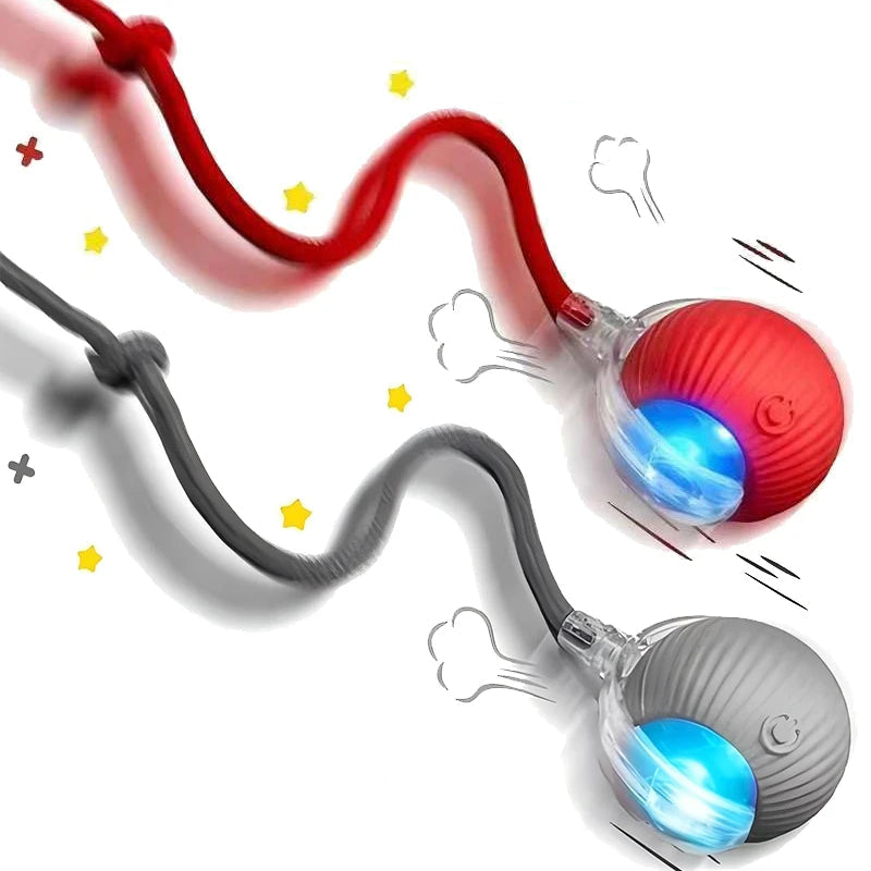Balle lumineuse interactif pour Chat