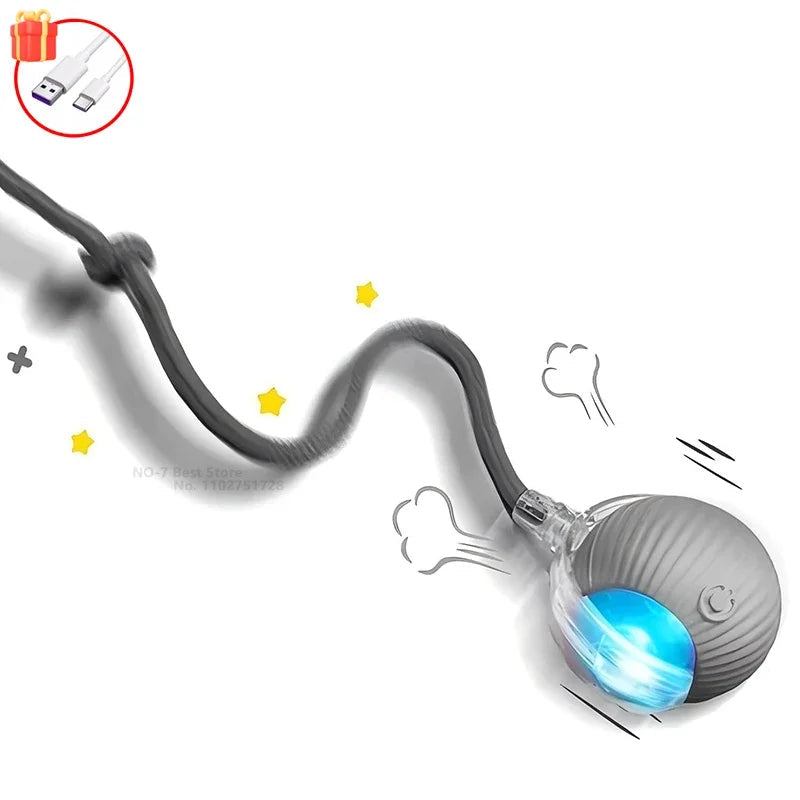 Balle lumineuse interactif pour Chat