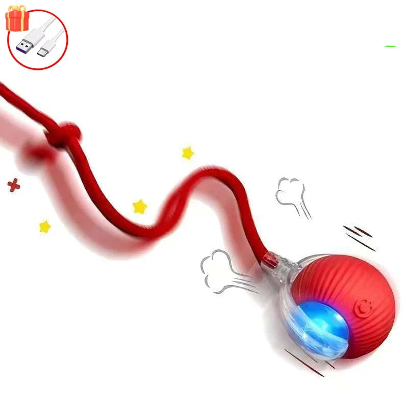 Balle lumineuse interactif pour Chat