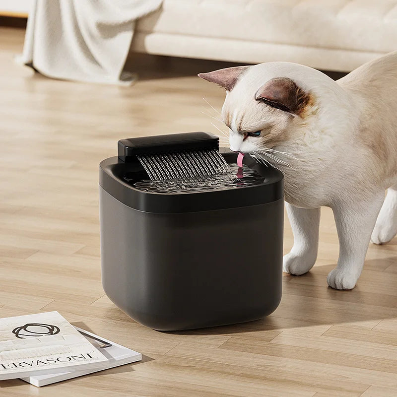 Fontaine à Eau pour Chat