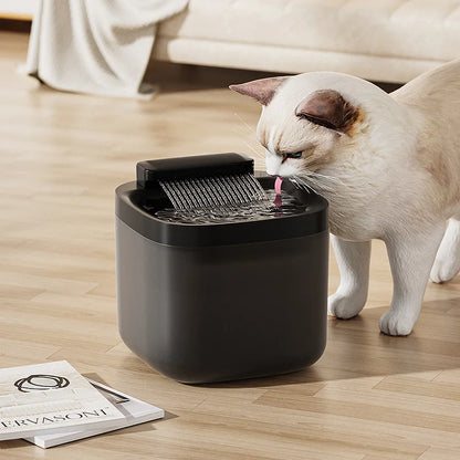 Fontaine à Eau pour Chat