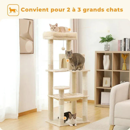 Arbre à chat adulte plusieurs chats