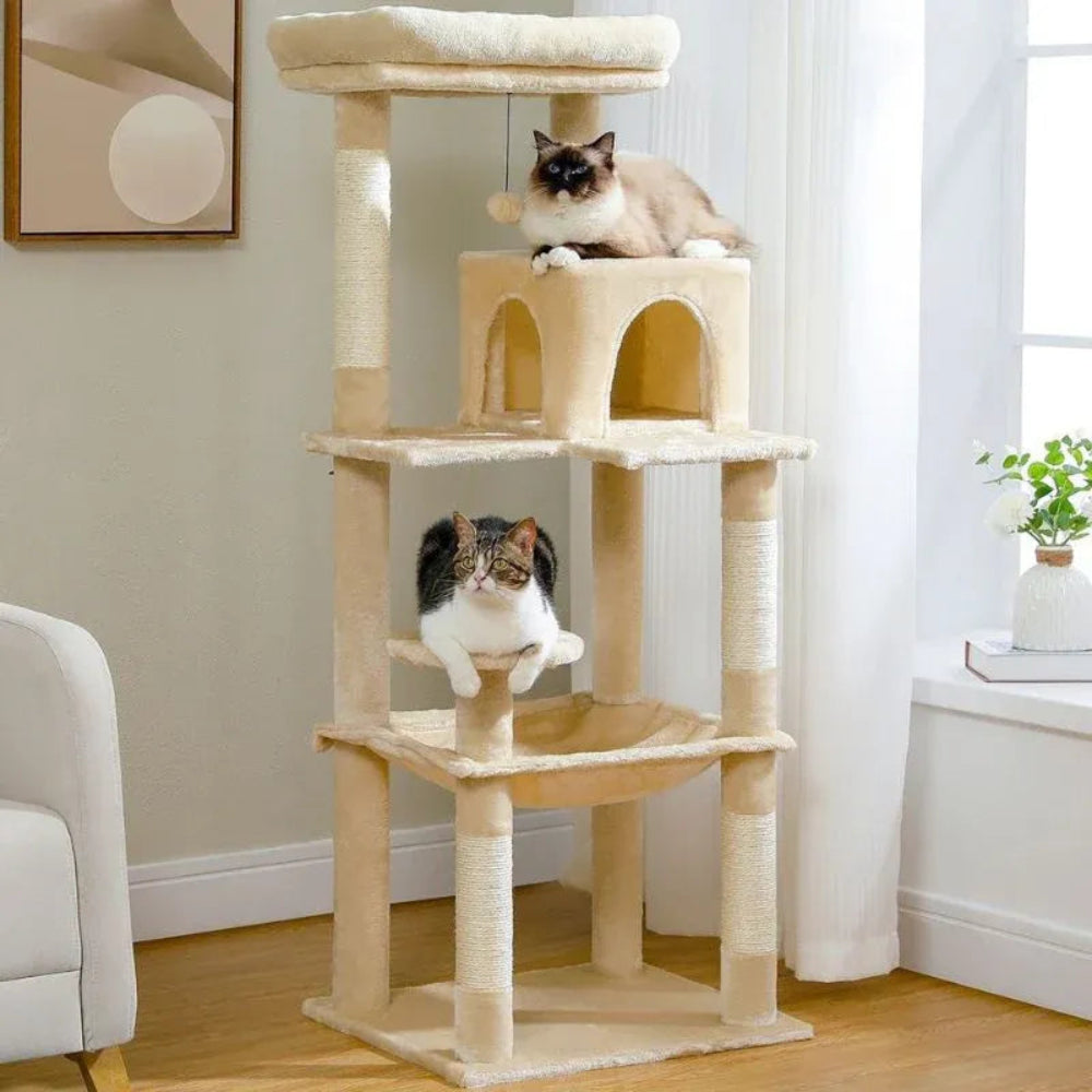 Arbre à chat adulte salon