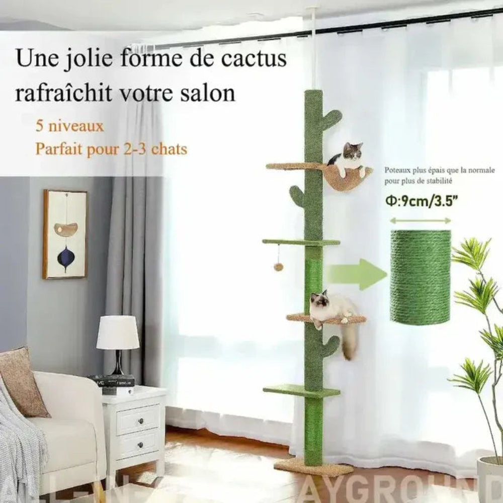 Arbre à chat cactus à 5 niveaux