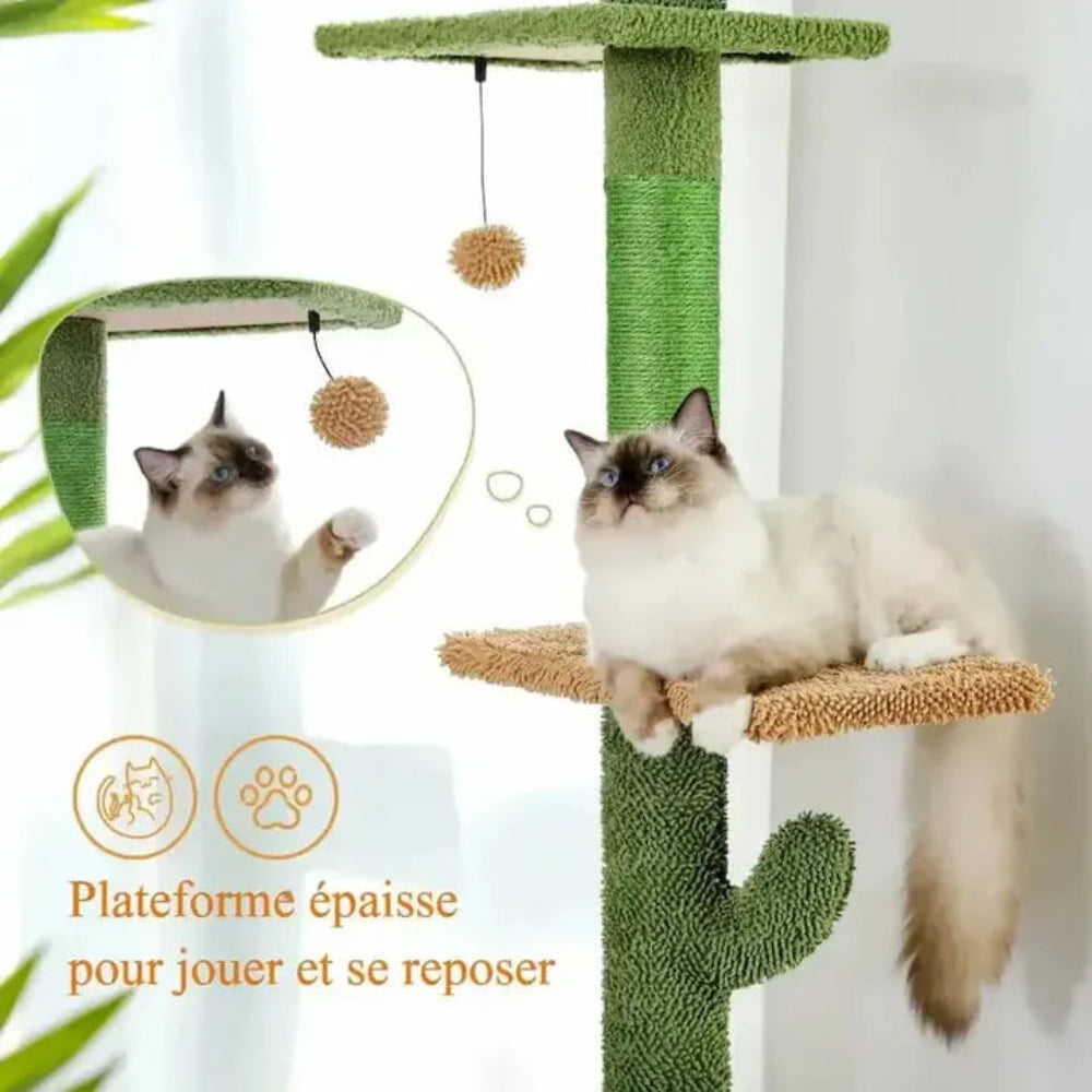 Arbre à chat cactus plateforme