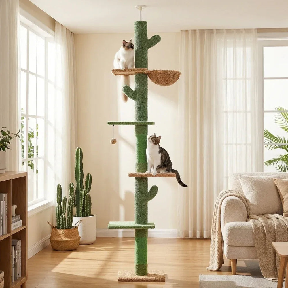 Arbre à chat cactus salon