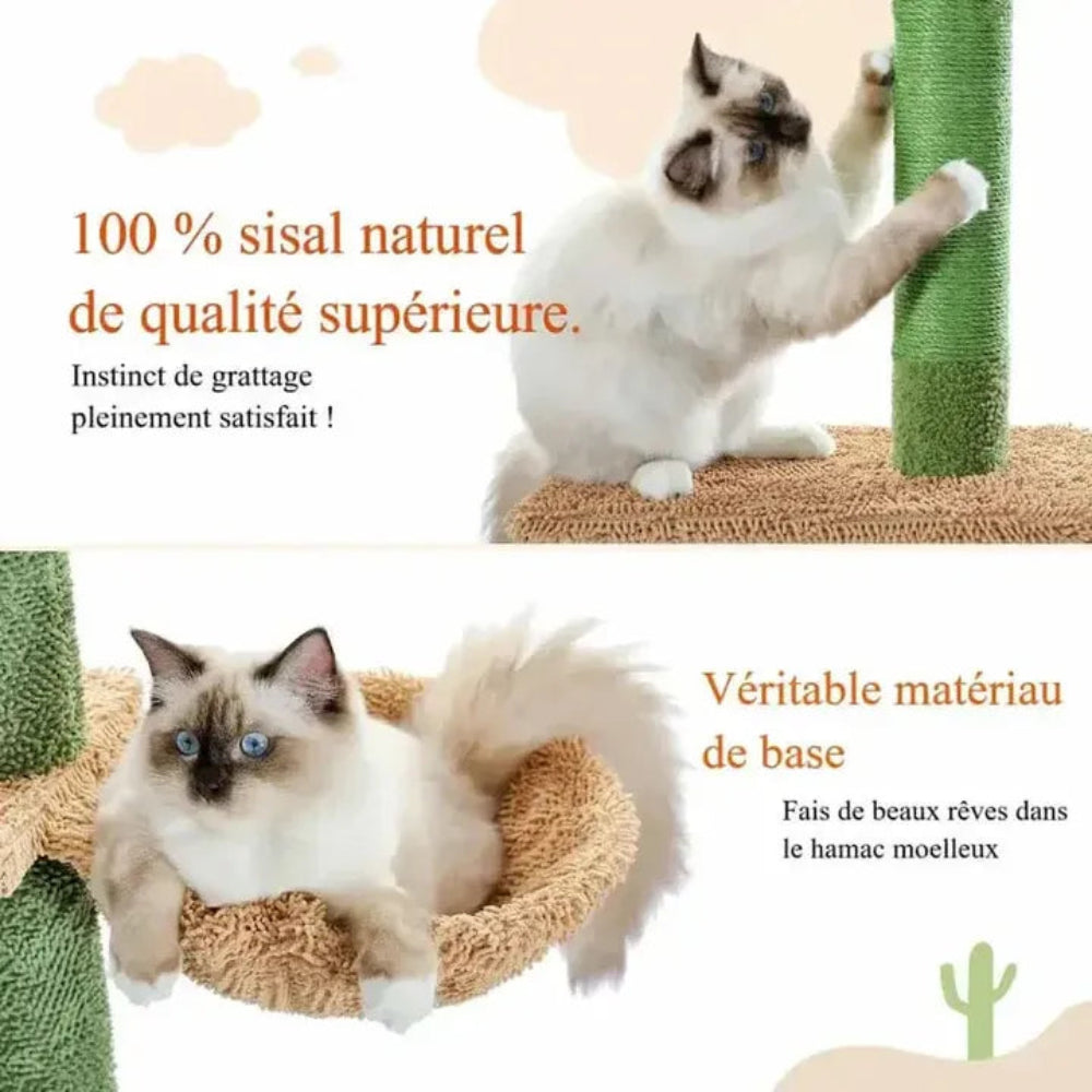 Arbre à chat cactus sisal naturel