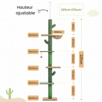 Arbre à chat cactus taille ajustable