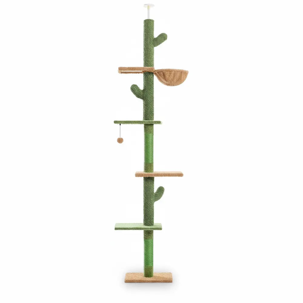 Arbre à chat cactus