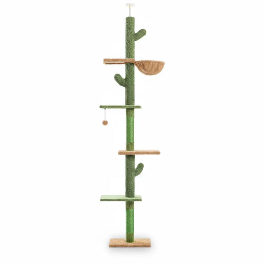 Arbre à chat cactus