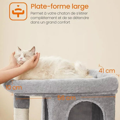Arbre à chat petit plateforme