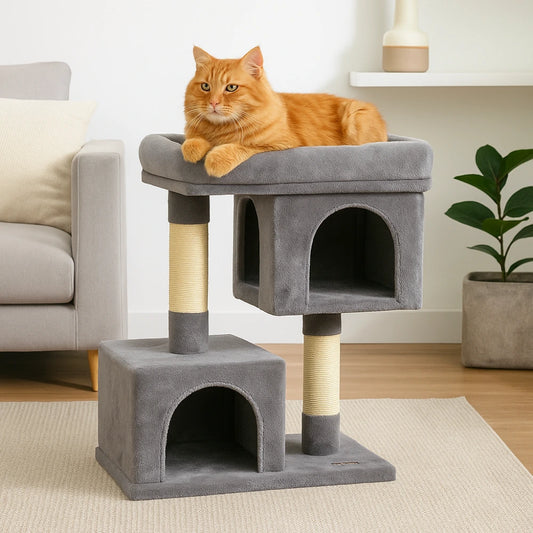 Arbre à chat petit dans un salon