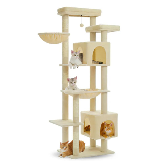 Arbre à chat pour gros chat beige