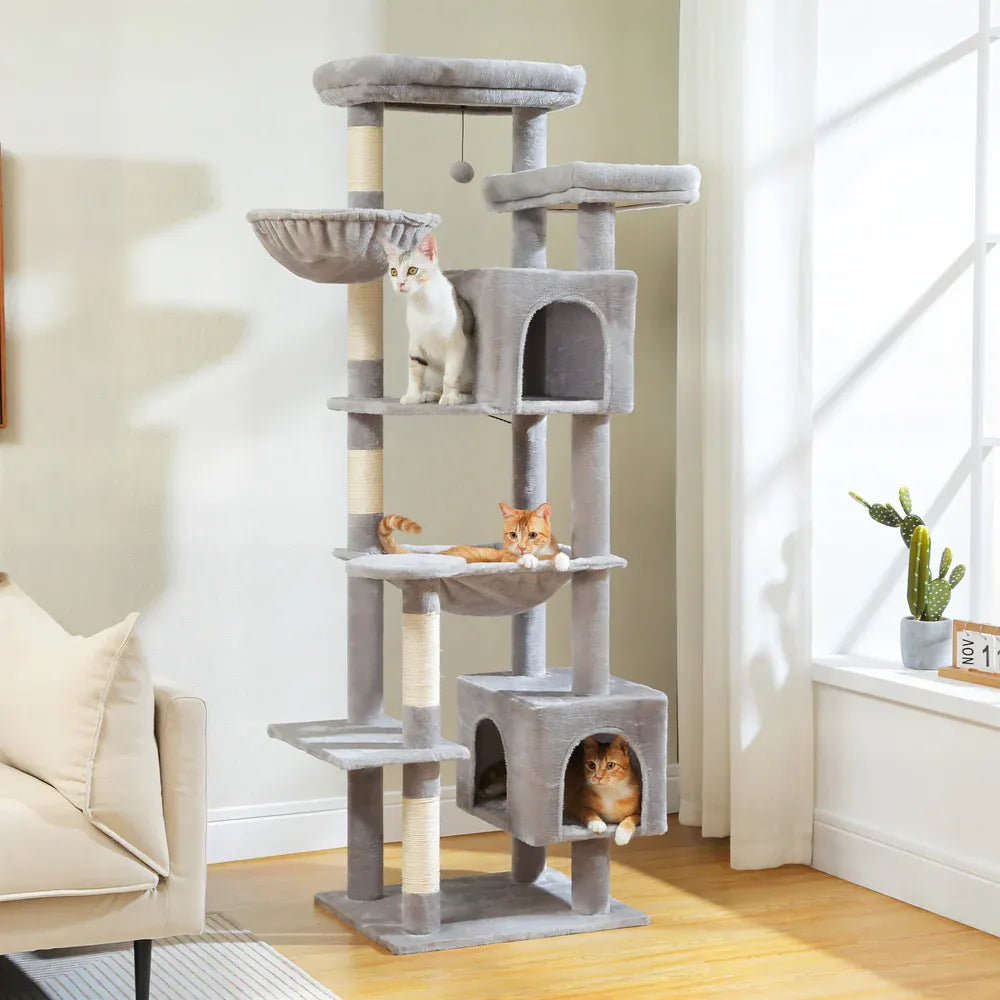 arbre à chat pour gros chat gris dans un salon