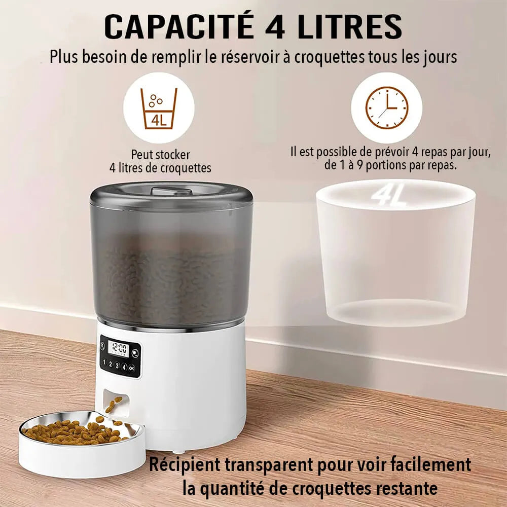 Distributeur automatique de croquettes chat capacité de 4 litres Image