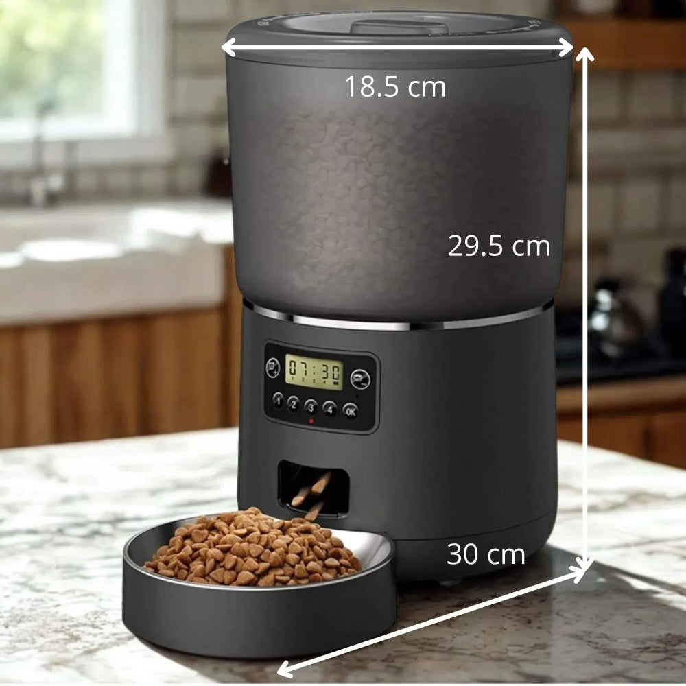 Distributeur automatique de croquettes chat dimensions