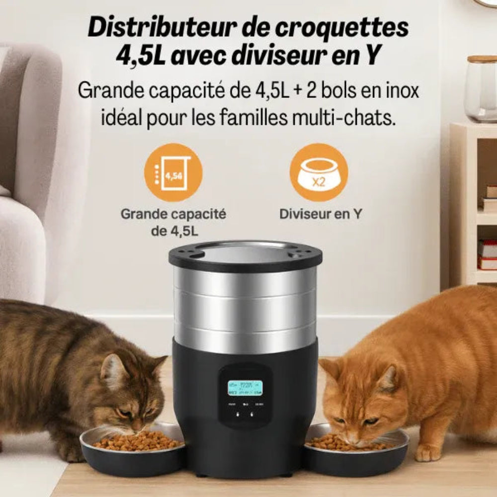 Distributeur automatique de croquettes pour 2 chats avec produit en action