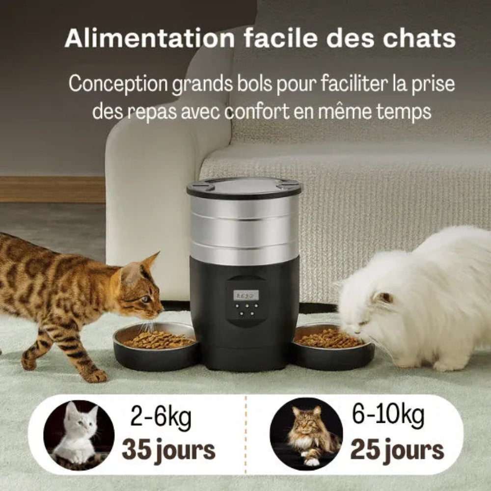Distributeur automatique de croquettes pour 2 chats prise de repas