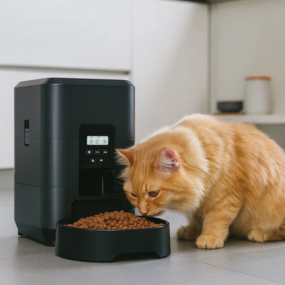 Distributeur chat croquette automatique avec un chat dans une cuisine