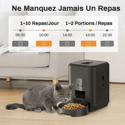 Distributeur chat croquette automatique programmation des repas