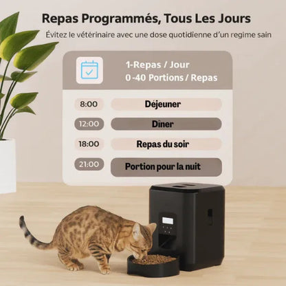 Distributeur chat croquette automatique programme quotidien