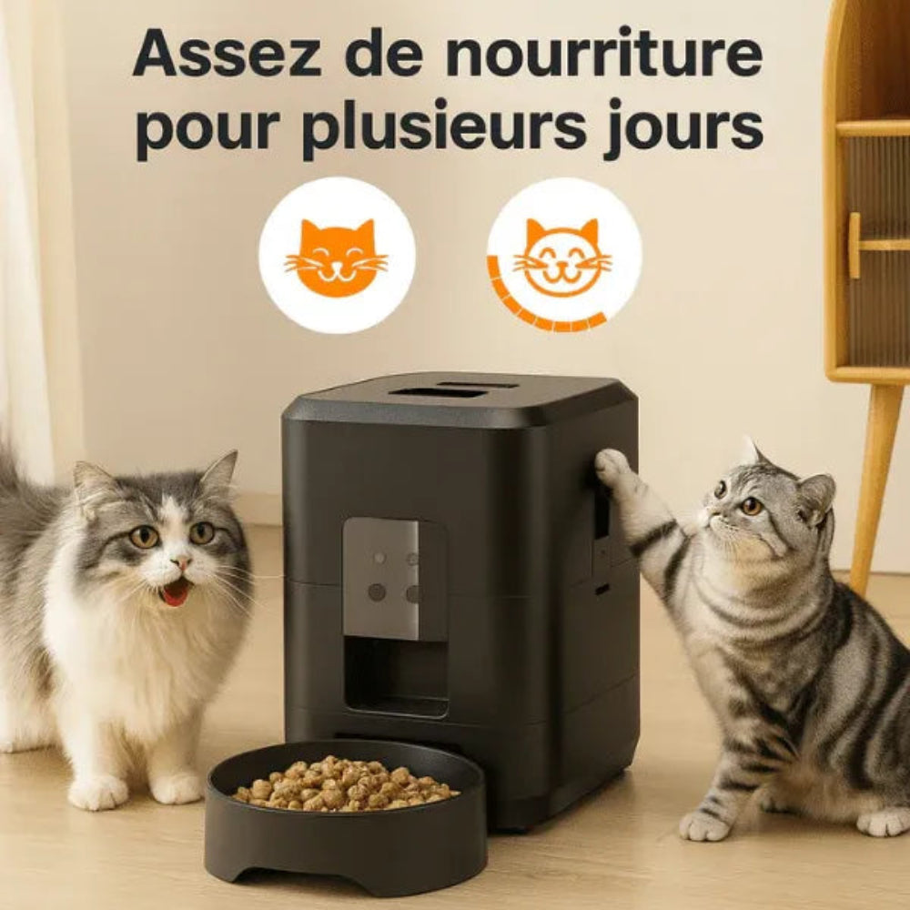 Distributeur chat croquette automatique réservoir de nourriture pour plusieurs jours