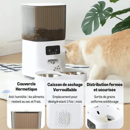 Distributeur de croquette pour chat automatique securisé