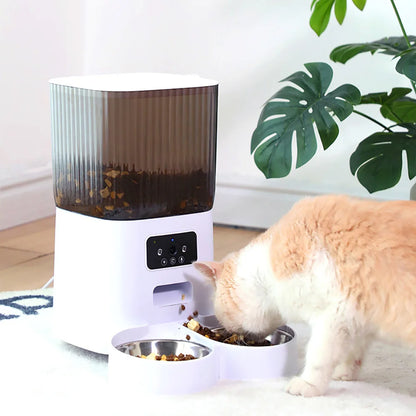 Distributeur de croquette pour chat automatique avec chat en action 