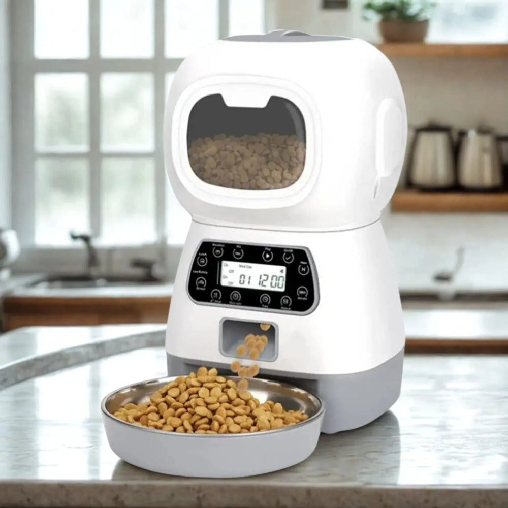 Distributeur de croquette pour chat connecté dans une cuisine