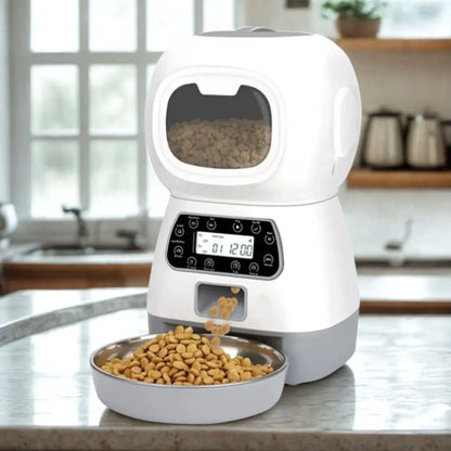 Distributeur de croquette pour chat connecté dans une cuisine