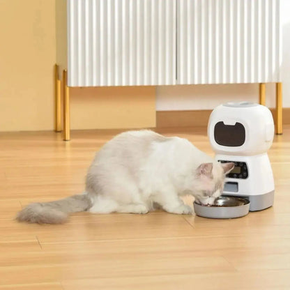 Distributeur de croquette pour chat connecté avec une chat en repas
