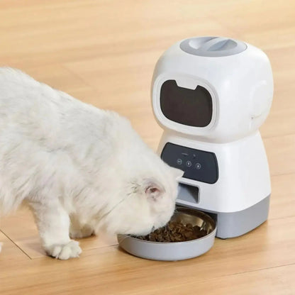 Distributeur de croquette pour chat connecté avec un chat en train de manger