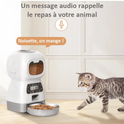 Distributeur de croquette pour chat connecté message vocal