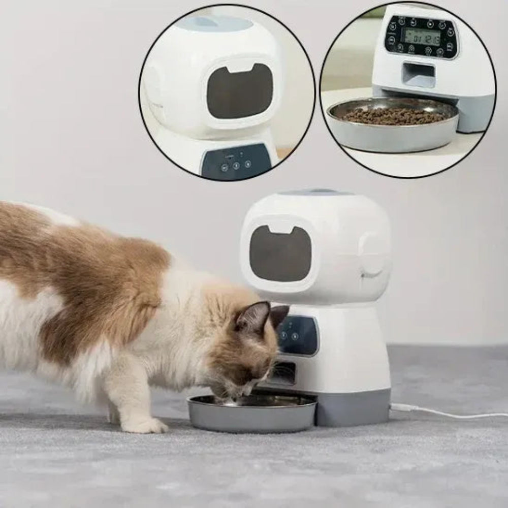Distributeur de croquette pour chat connecté zoom sur écran