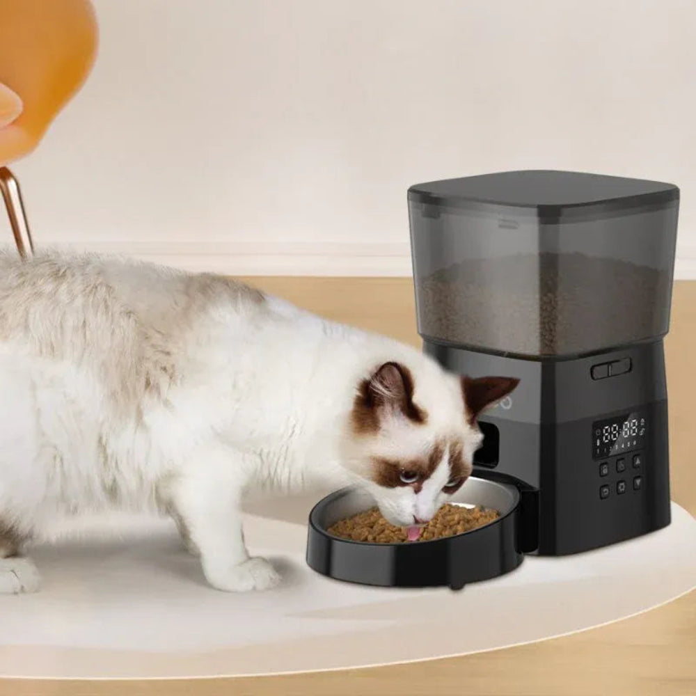 Distributeur de croquettes automatique pour chat avec chat en action
