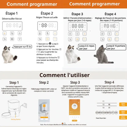 Distributeur croquette chat 