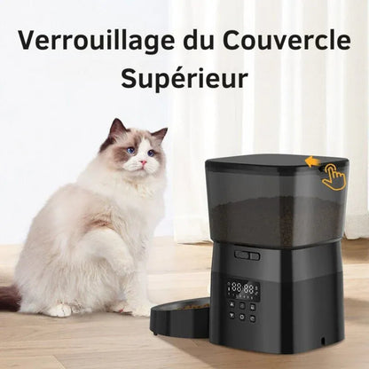 Distributeur de croquettes automatique pour chat verrouillage du couvercle