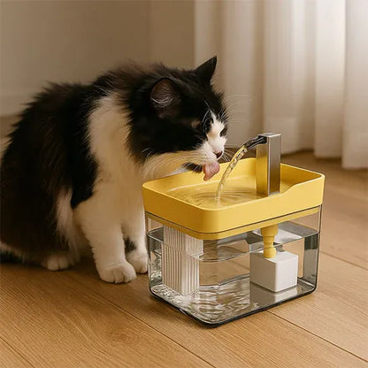 Fontaine à Eau Chat transparente