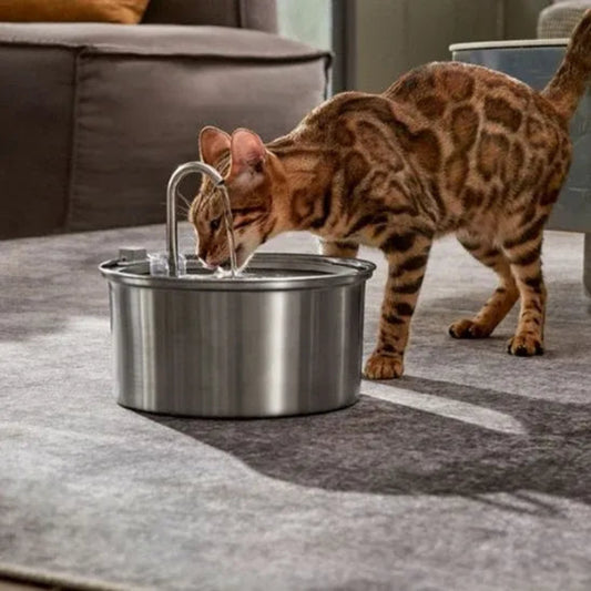 Fontaine à eau chat sans fil inox avec chat qui boit