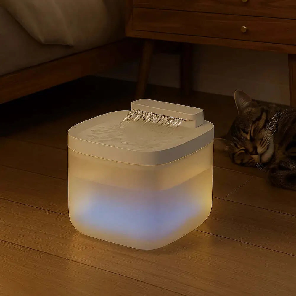 Fontaine à eau pour chat avec lumière dans une chambre