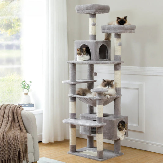 Grand arbre à chat dans un salon