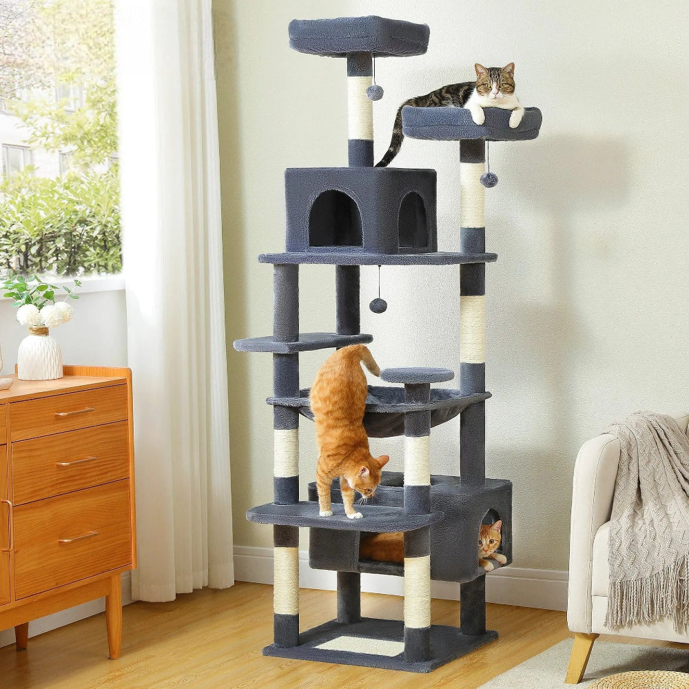 Grand arbre à chat situation réel
