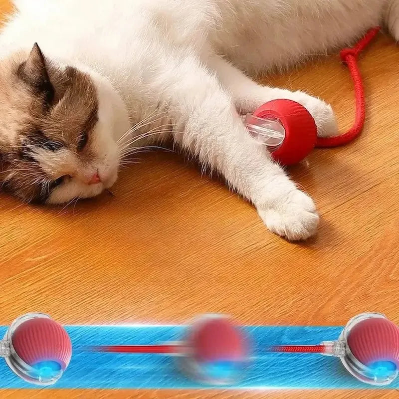 Balle lumineuse interactif pour Chat