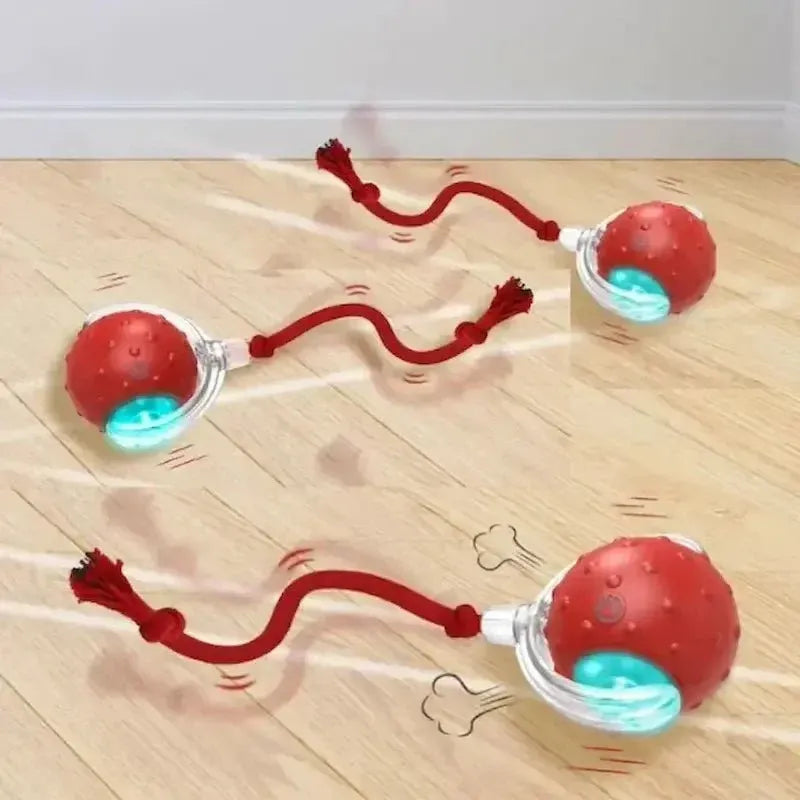Balle lumineuse interactif pour Chat